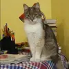 Отзыв от Вика Чернова